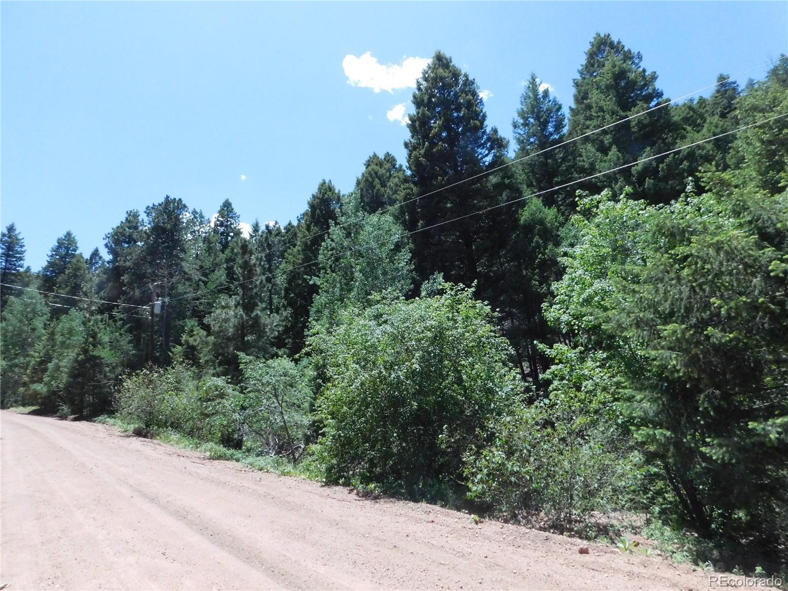 13175 Spruce Creek Circle Larkspur CO 80118