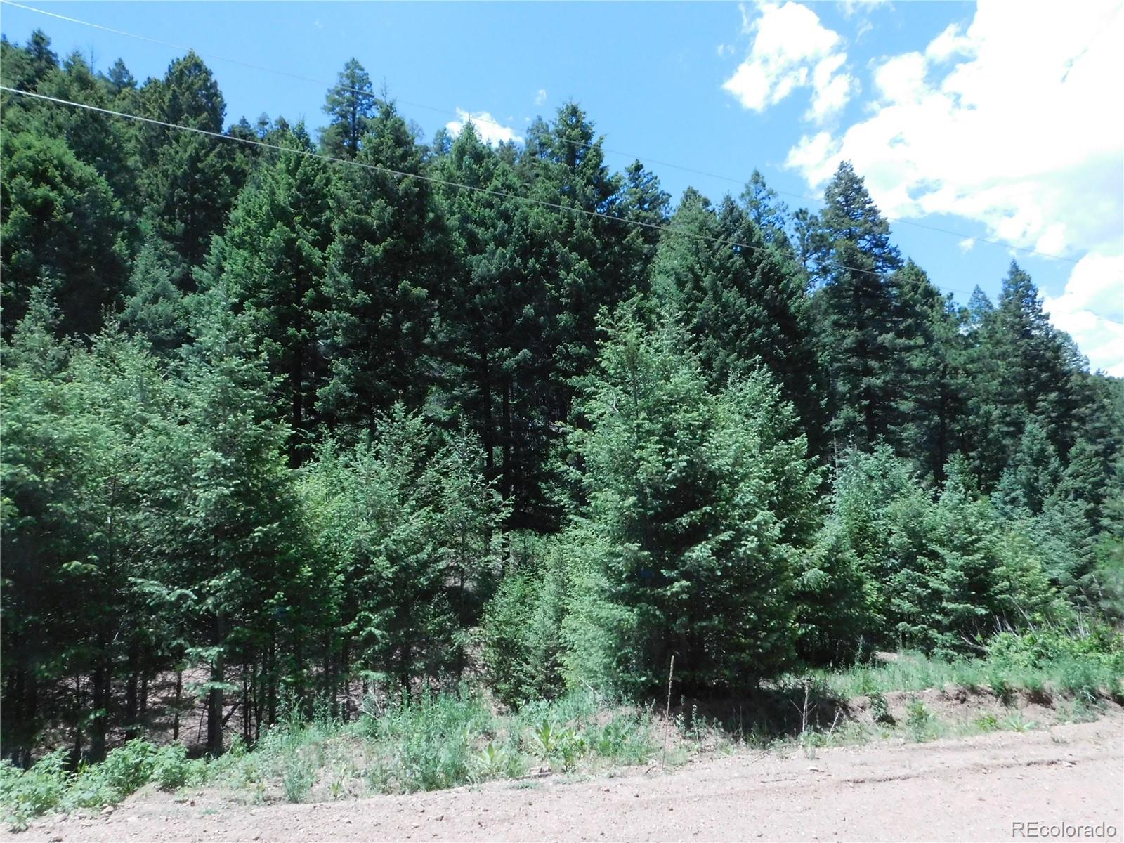 13175 Spruce Creek Circle Larkspur CO 80118