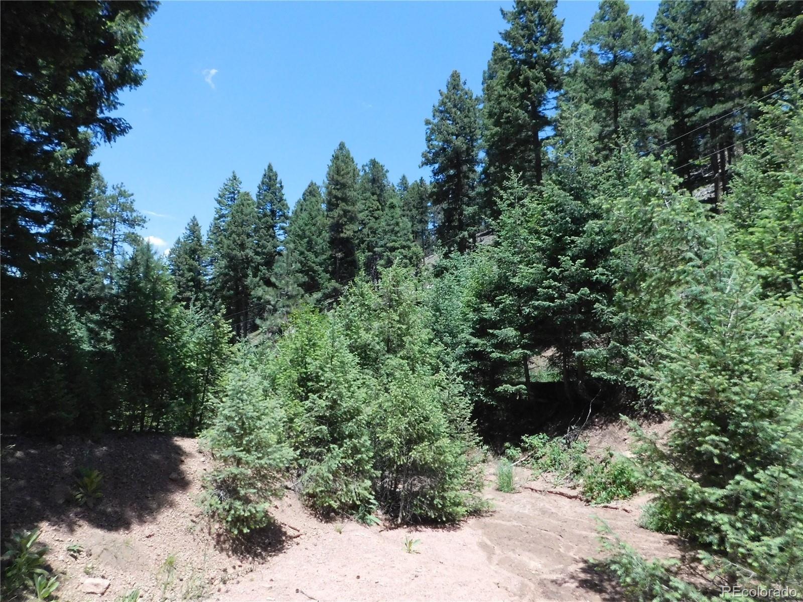 13175 Spruce Creek Circle Larkspur CO 80118