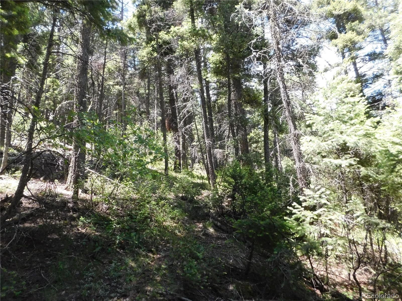 13175 Spruce Creek Circle Larkspur CO 80118