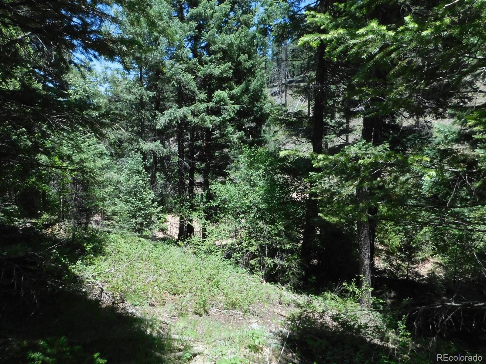 13175 Spruce Creek Circle Larkspur CO 80118