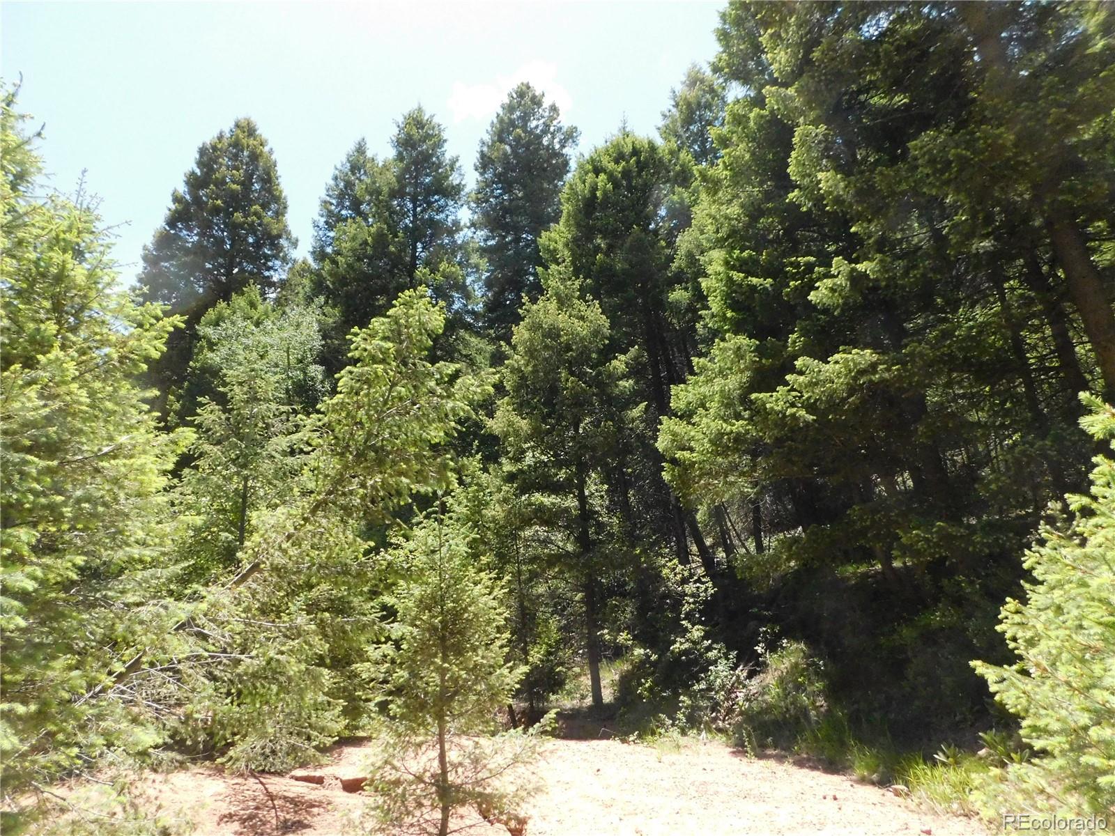 13175 Spruce Creek Circle Larkspur CO 80118