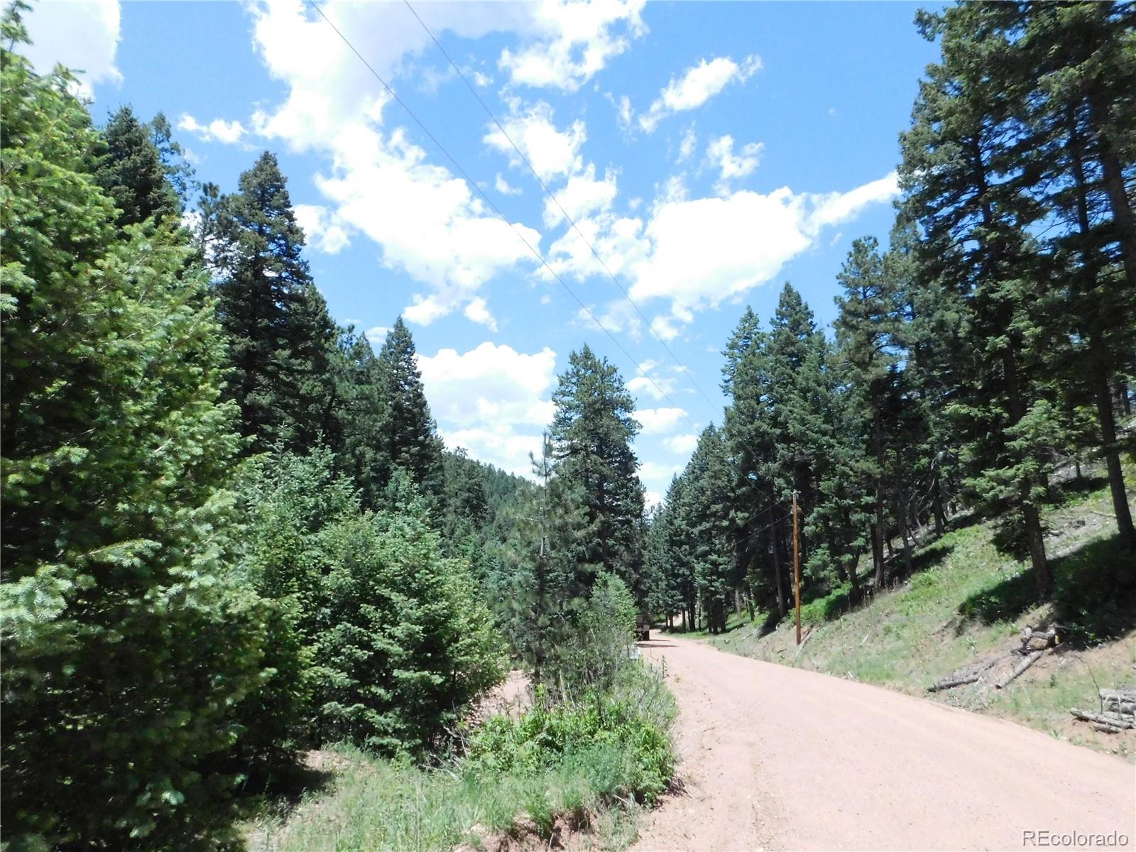 13175 Spruce Creek Circle Larkspur CO 80118