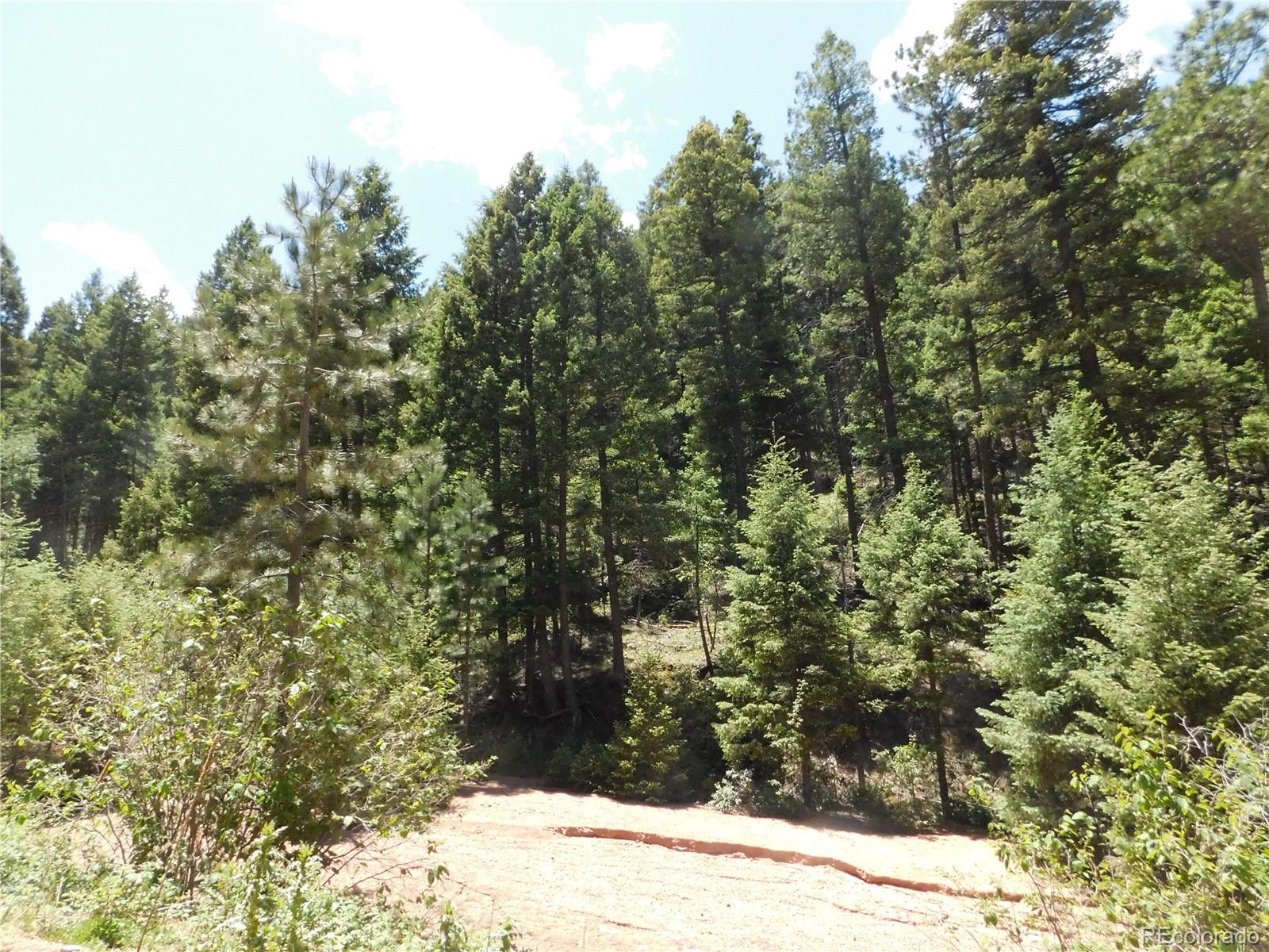 13175 Spruce Creek Circle Larkspur CO 80118