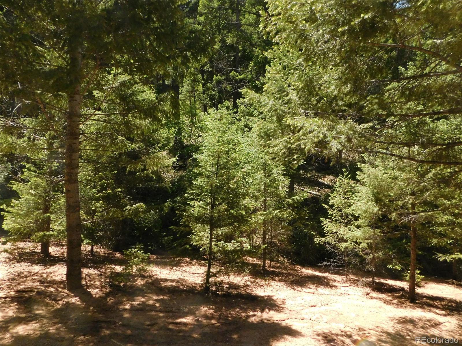 13175 Spruce Creek Circle Larkspur CO 80118