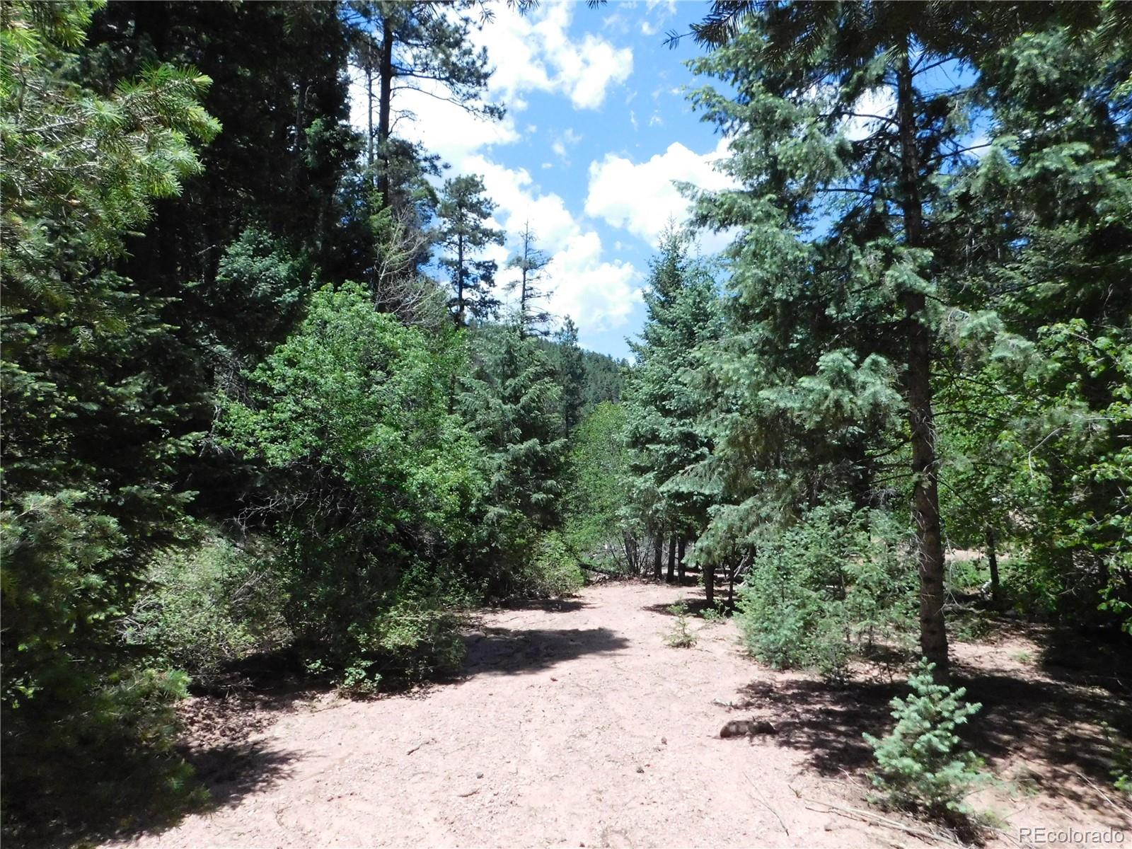 13175 Spruce Creek Circle Larkspur CO 80118