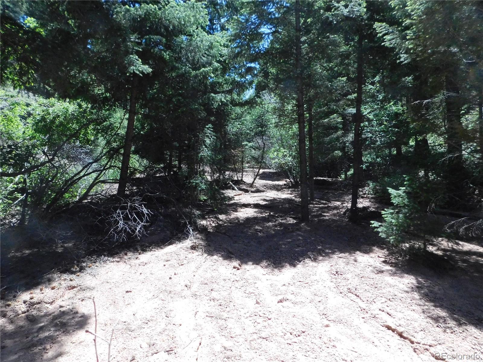 13175 Spruce Creek Circle Larkspur CO 80118