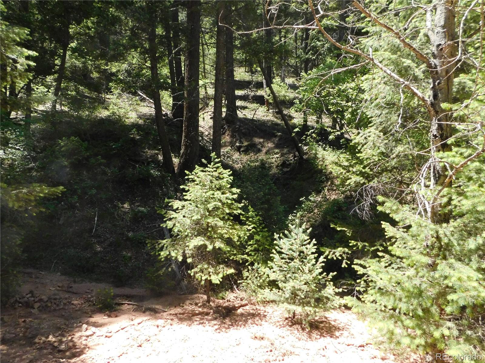 13175 Spruce Creek Circle Larkspur CO 80118