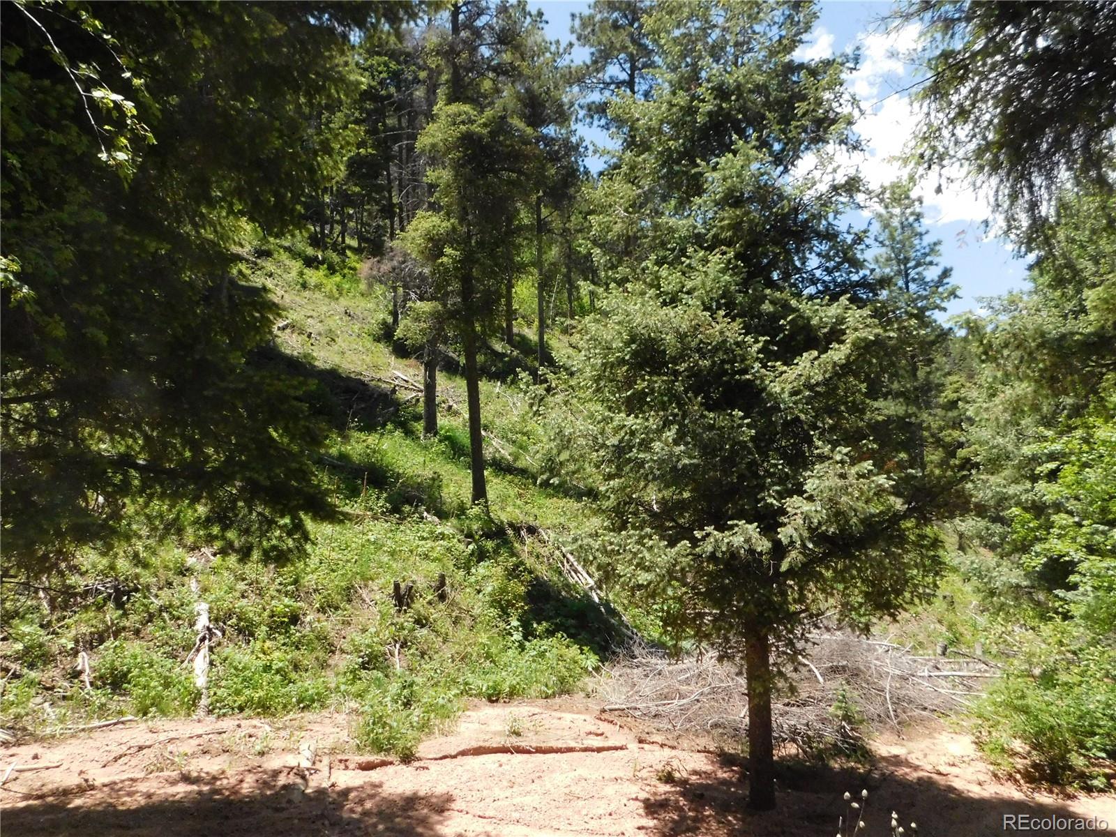 13175 Spruce Creek Circle Larkspur CO 80118