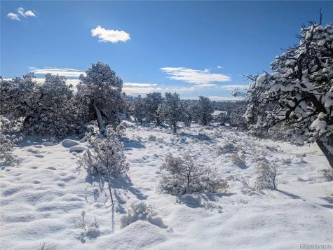 1946-1949C, 2017-2020 Lone Pine Way Crestone CO 81131