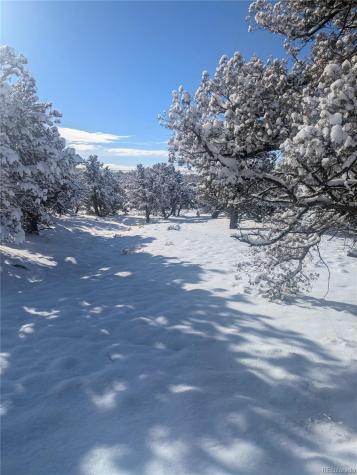 1946-1949C, 2017-2020 Lone Pine Way Crestone CO 81131