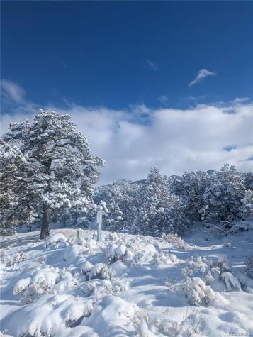 1946-1949C, 2017-2020 Lone Pine Way Crestone CO 81131