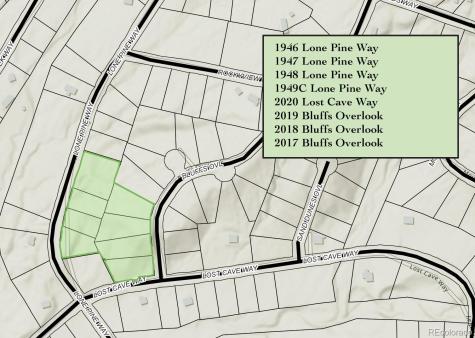 1946-1949C, 2017-2020 Lone Pine Way Crestone CO 81131