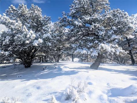 1946-1949C, 2017-2020 Lone Pine Way Crestone CO 81131