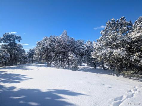 1946-1949C, 2017-2020 Lone Pine Way Crestone CO 81131