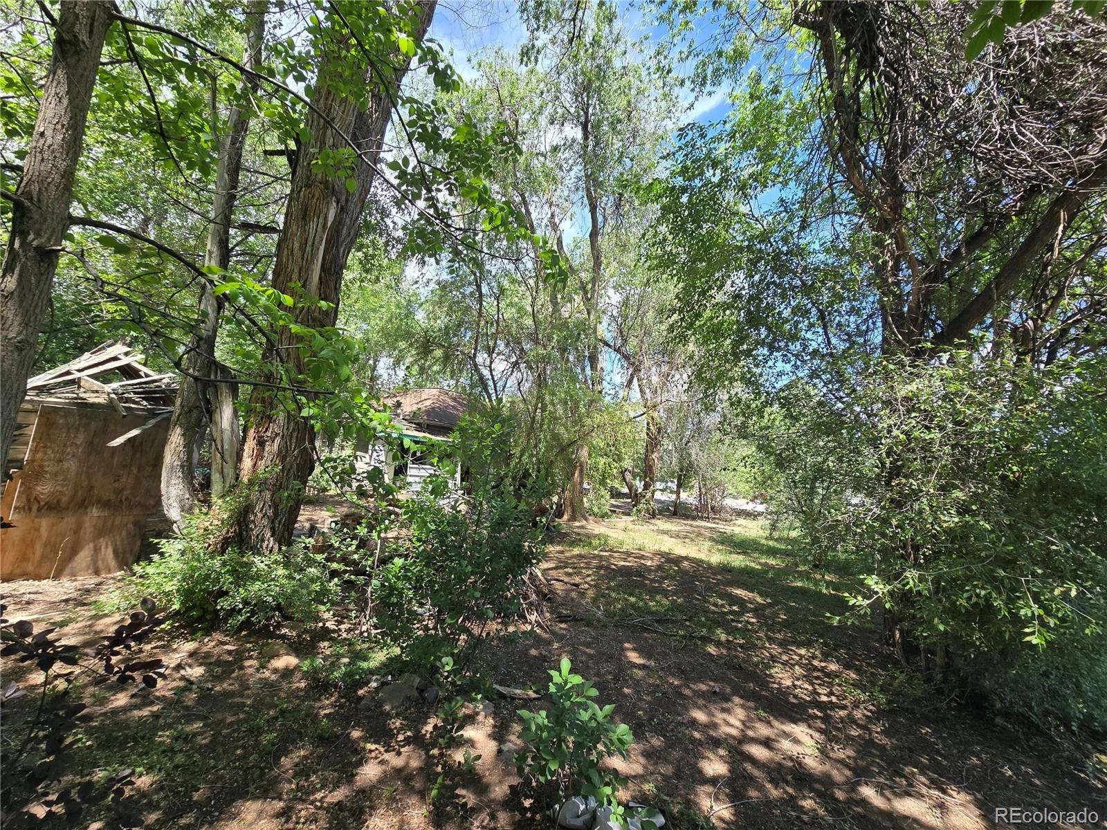 339 17th Avenue Longmont CO 80501