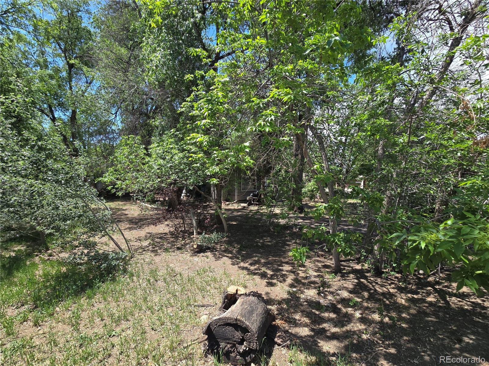 339 17th Avenue Longmont CO 80501