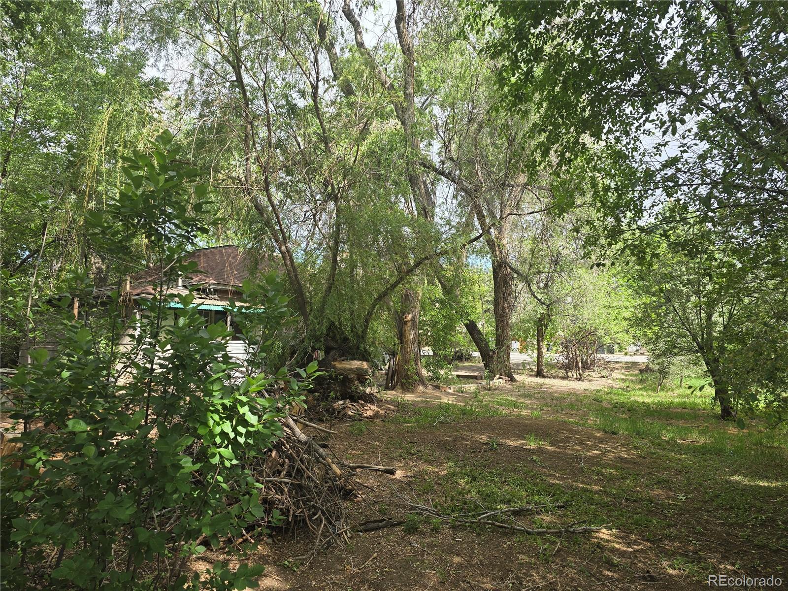 339 17th Avenue Longmont CO 80501