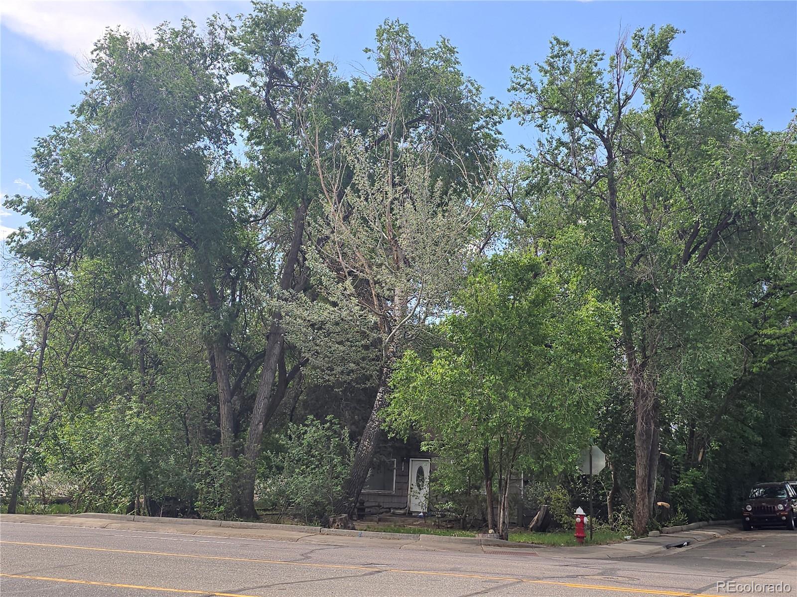339 17th Avenue Longmont CO 80501
