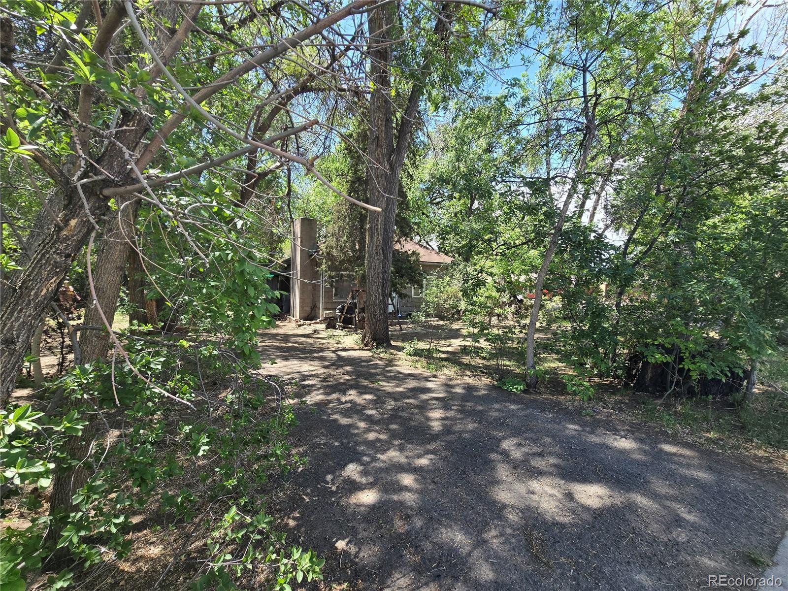 339 17th Avenue Longmont CO 80501