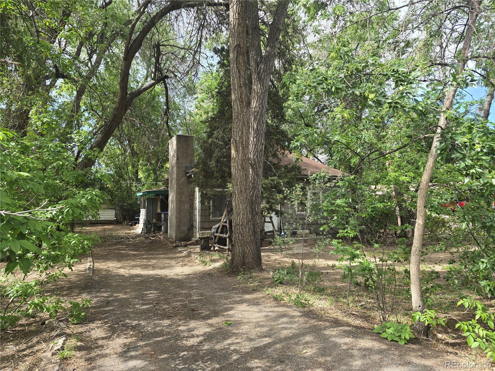 339 17th Avenue Longmont CO 80501