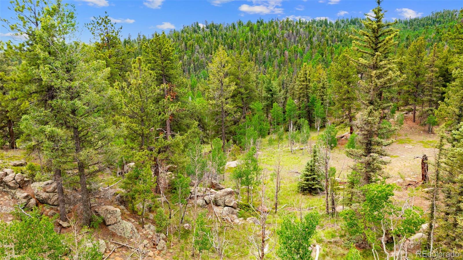 94 & 146 Cr-403 Florissant CO 80816