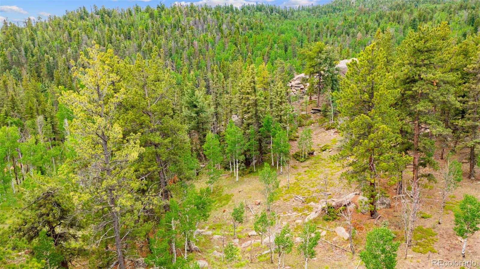 94 & 146 Cr-403 Florissant CO 80816