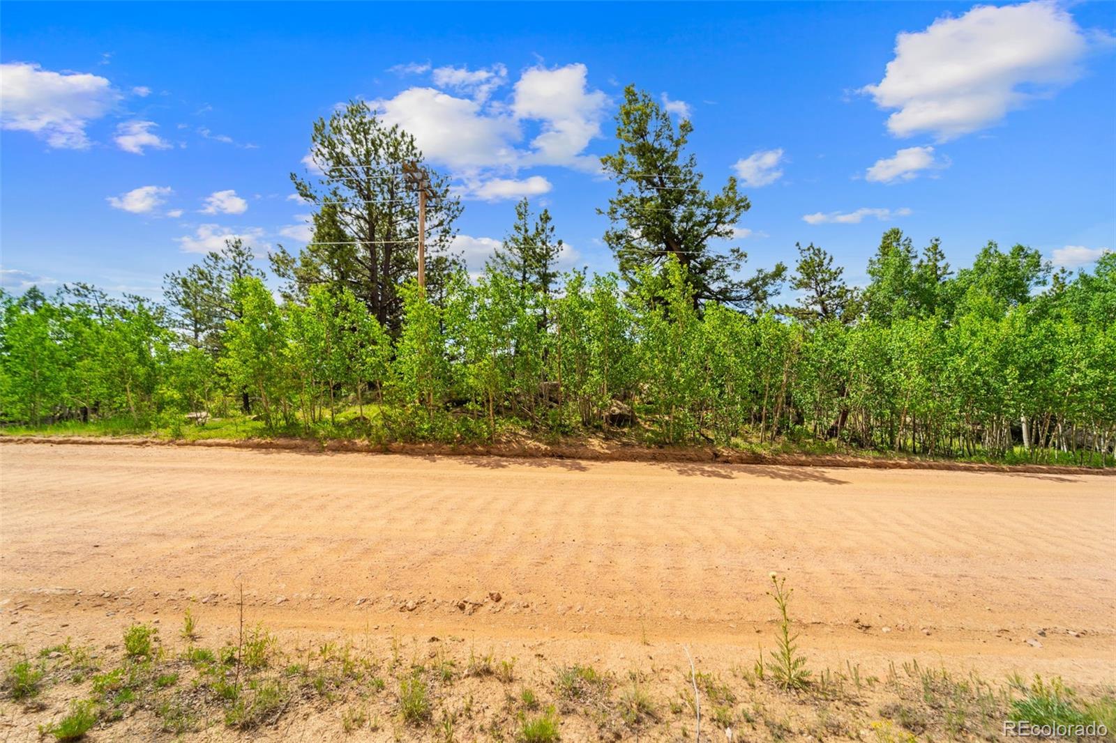 94 & 146 Cr-403 Florissant CO 80816