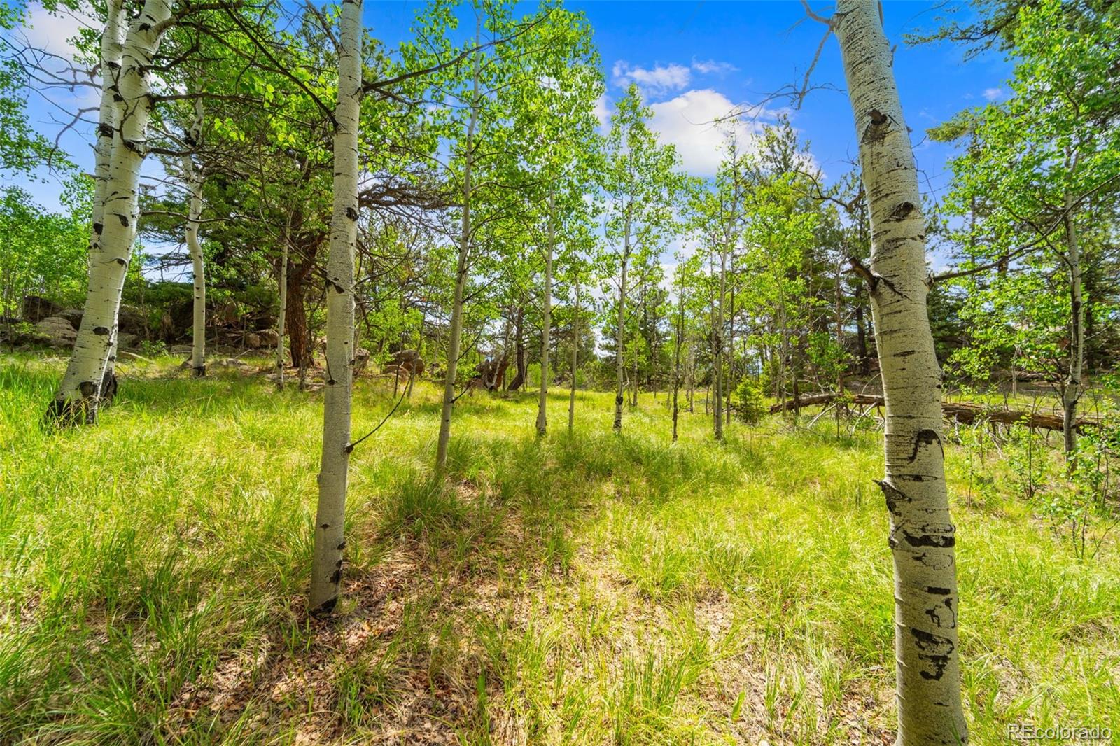 94 & 146 Cr-403 Florissant CO 80816