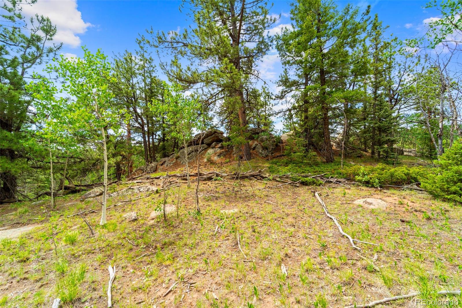 94 & 146 Cr-403 Florissant CO 80816