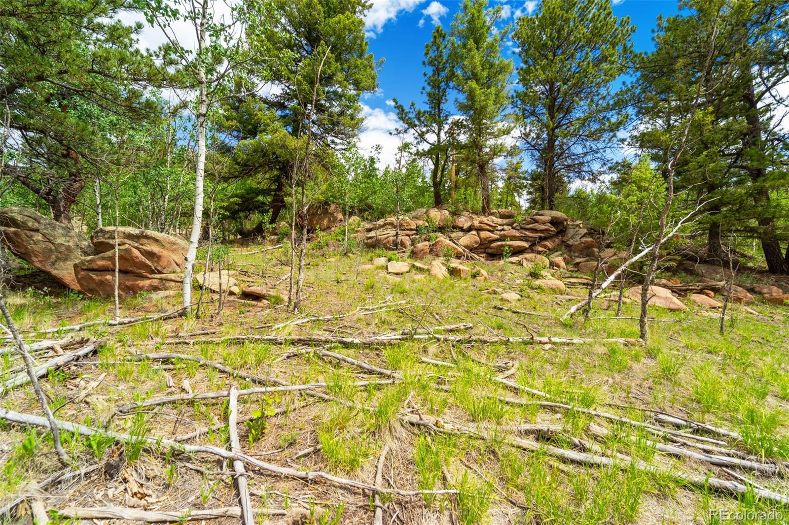 94 & 146 Cr-403 Florissant CO 80816