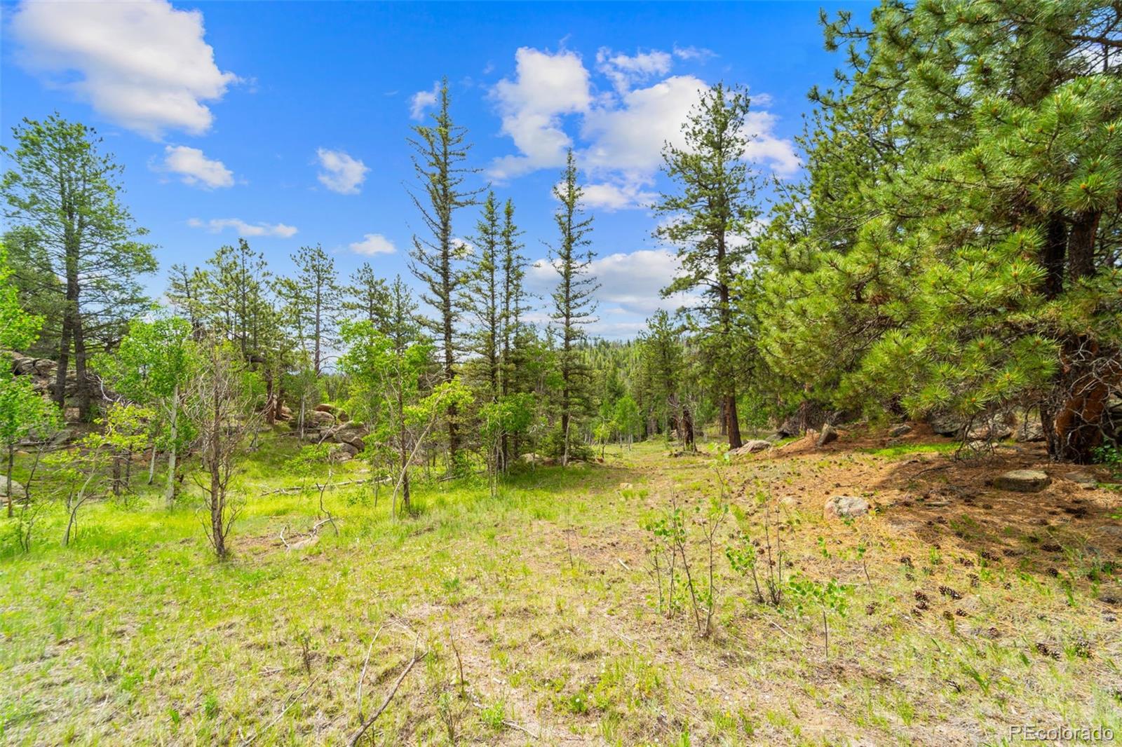 94 & 146 Cr-403 Florissant CO 80816