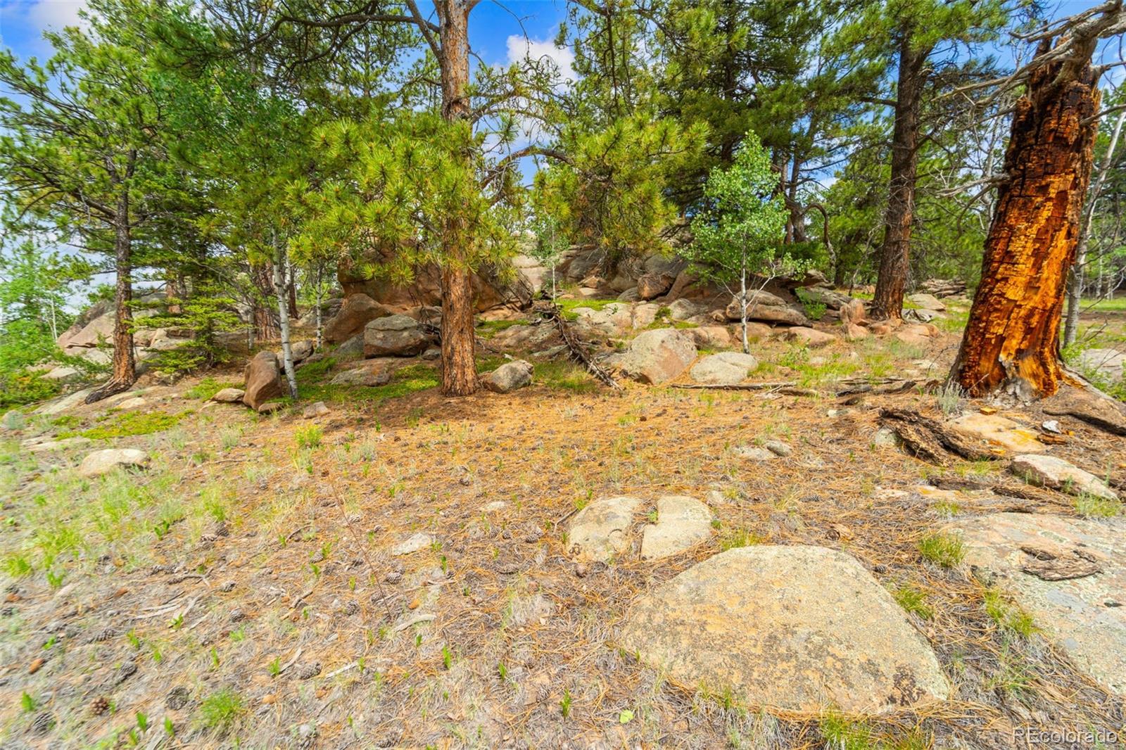 94 & 146 Cr-403 Florissant CO 80816