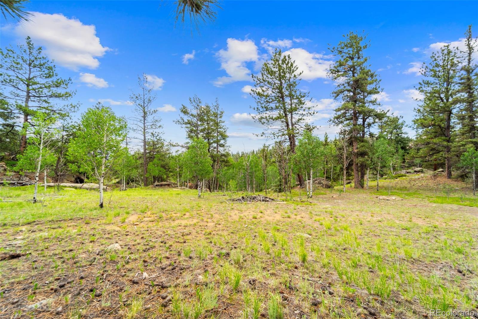 94 & 146 Cr-403 Florissant CO 80816