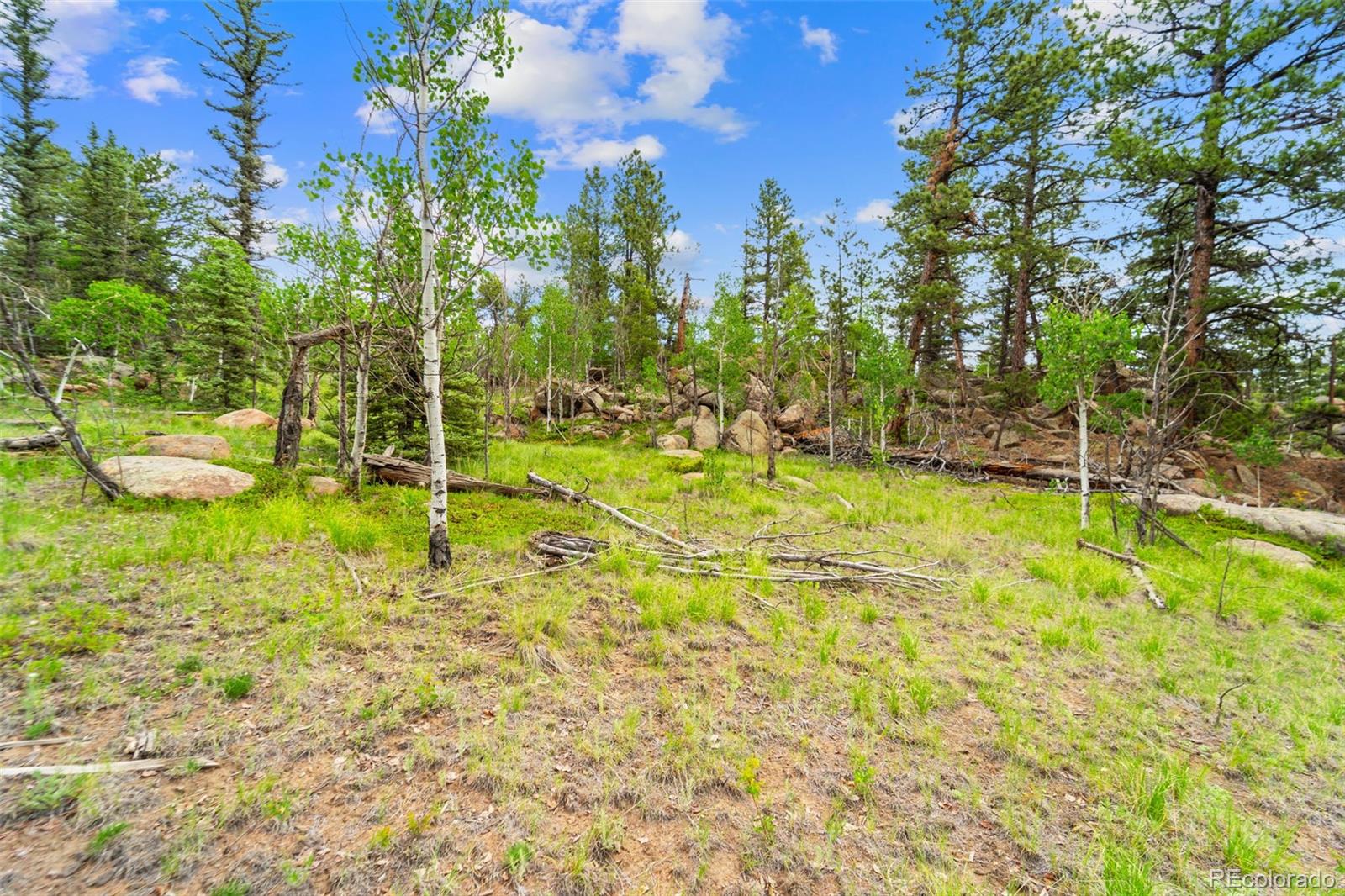 94 & 146 Cr-403 Florissant CO 80816