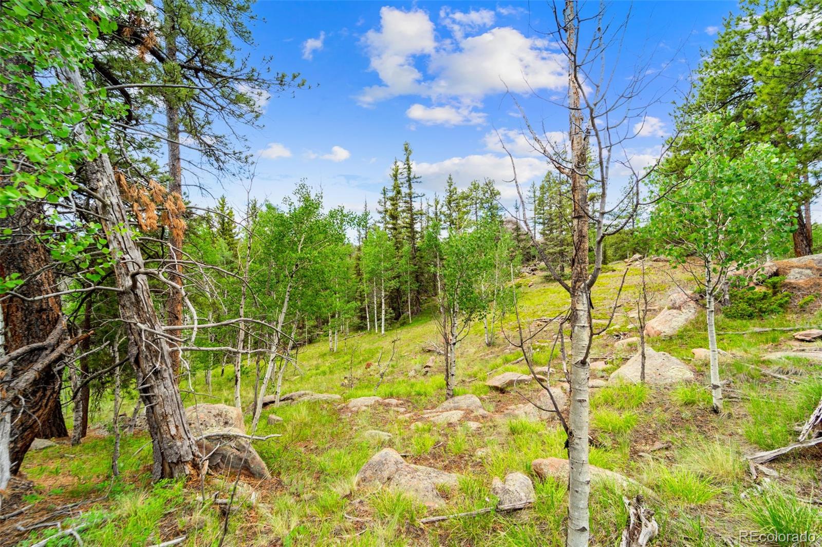 94 & 146 Cr-403 Florissant CO 80816