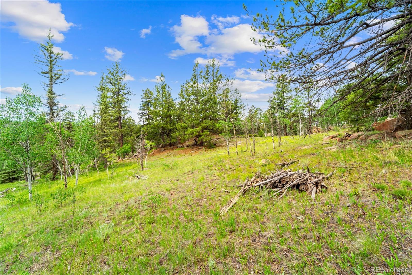94 & 146 Cr-403 Florissant CO 80816