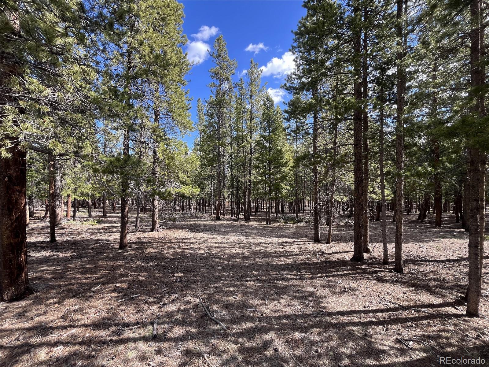 30336 National Forest Drive Buena Vista CO 81211
