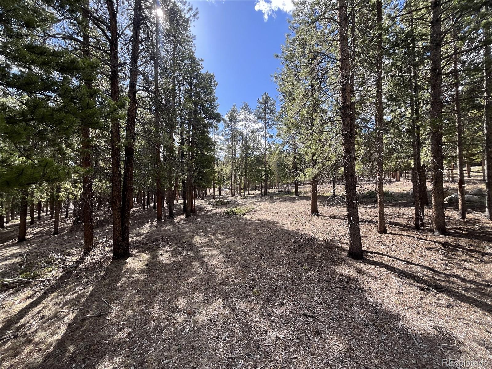 30336 National Forest Drive Buena Vista CO 81211