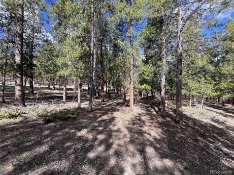 30336 National Forest Drive Buena Vista CO 81211