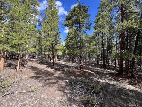 30336 National Forest Drive Buena Vista CO 81211