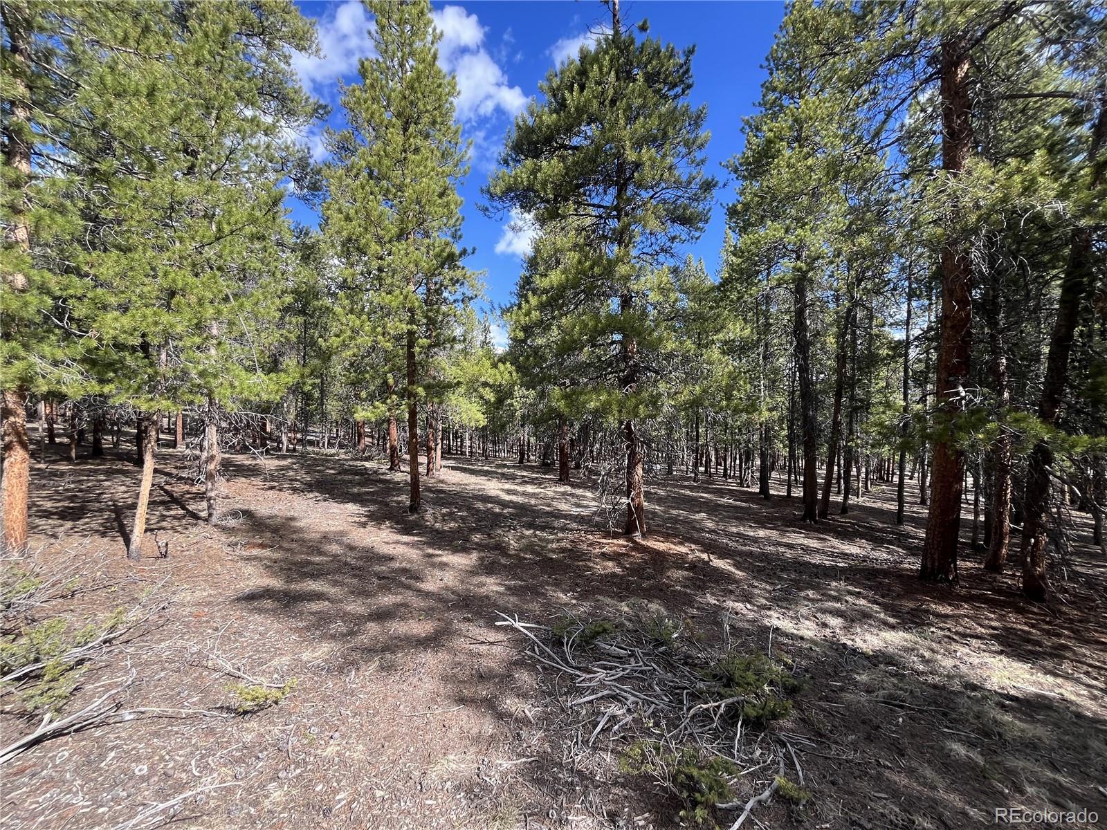 30336 National Forest Drive Buena Vista CO 81211