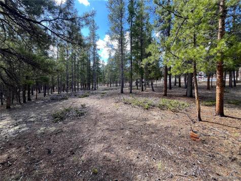 30336 National Forest Drive Buena Vista CO 81211