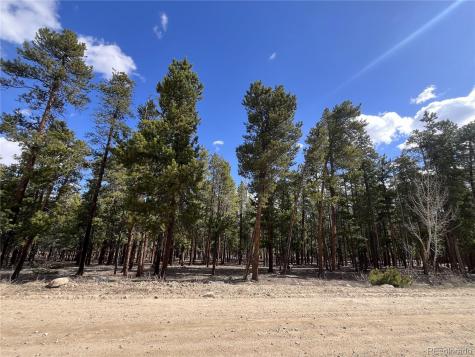 30336 National Forest Drive Buena Vista CO 81211