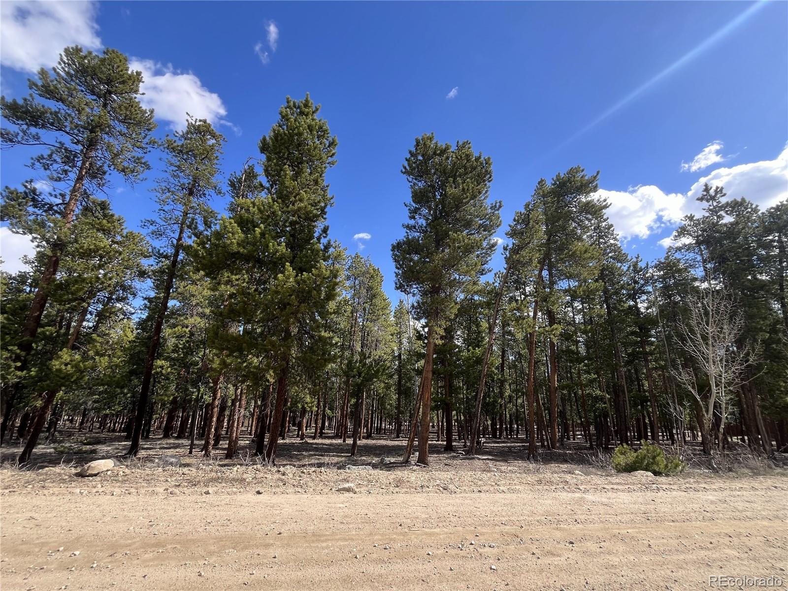 30336 National Forest Drive Buena Vista CO 81211