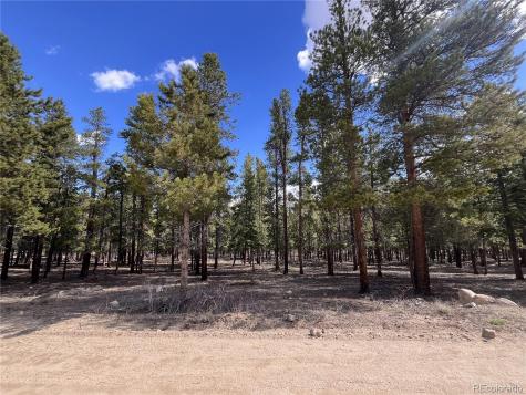 30336 National Forest Drive Buena Vista CO 81211