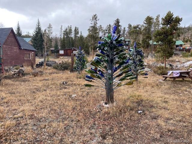 1124 Mountain Avenue Grand Lake CO 80447