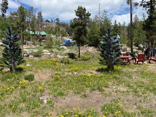 1124 Mountain Avenue Grand Lake CO 80447