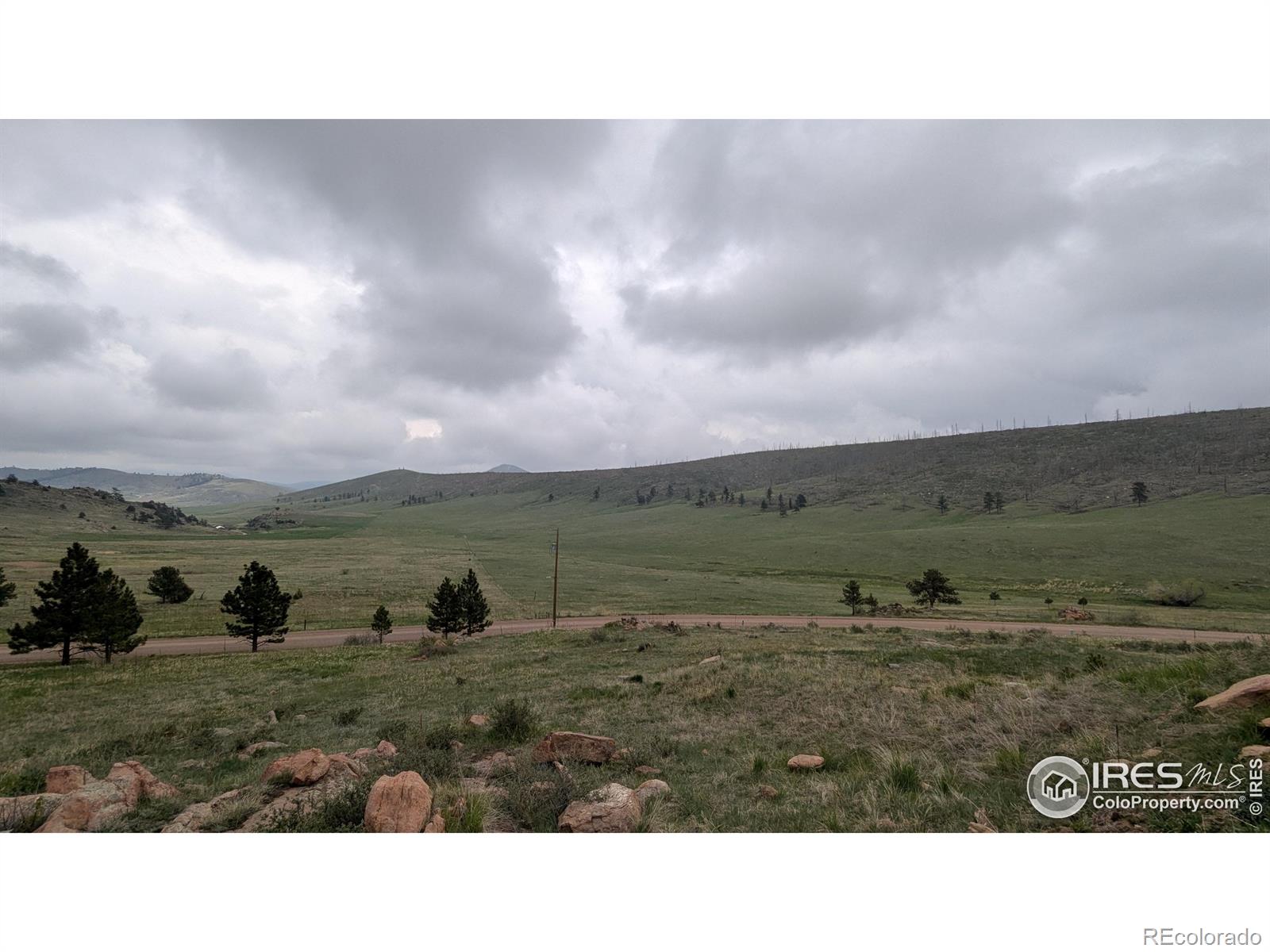 1191 Eiger Road Livermore CO 80536