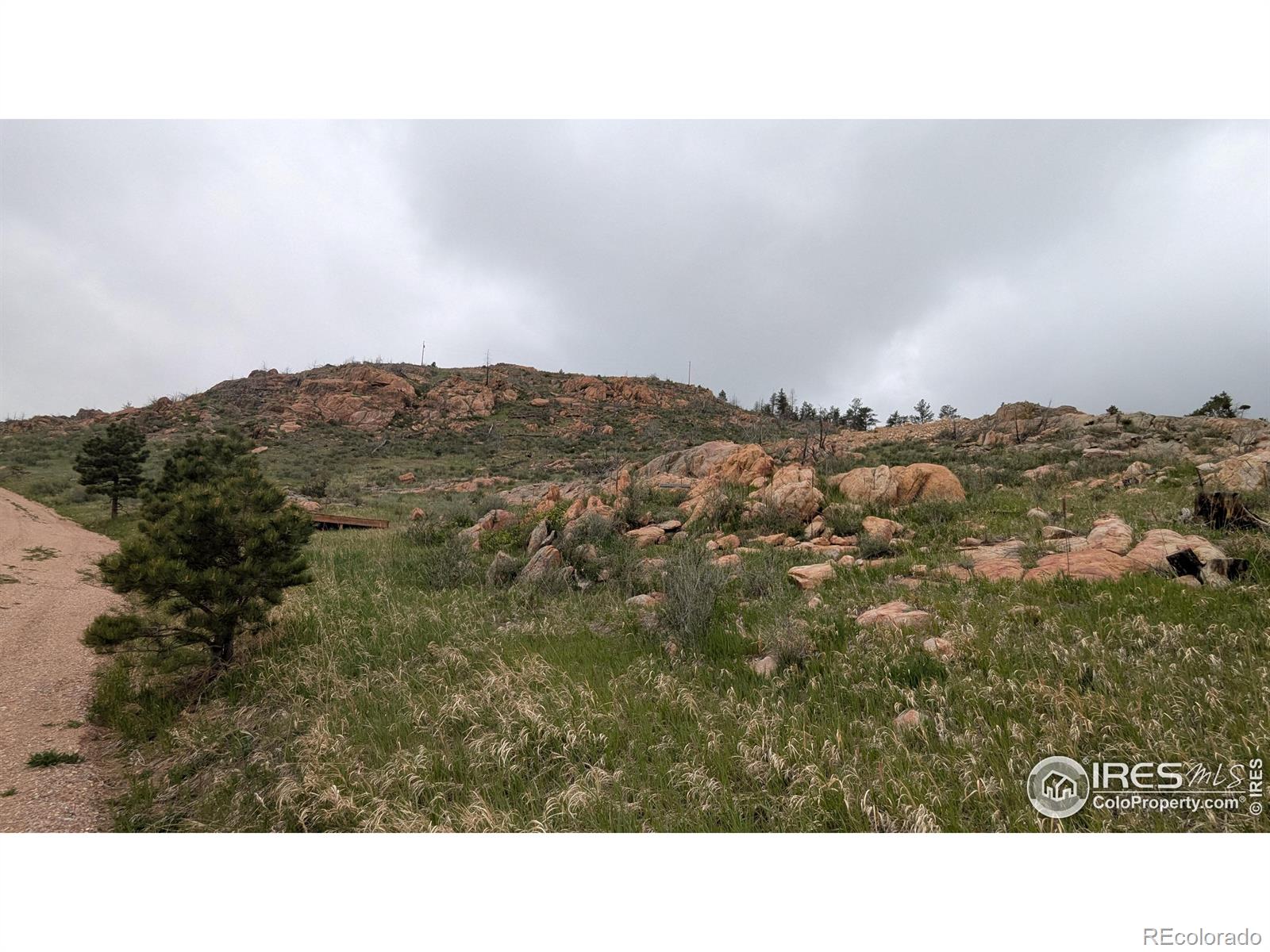 1191 Eiger Road Livermore CO 80536